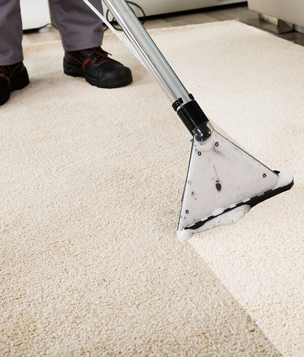 Deep Office Cleaning in Cambridge with a Wet Vacuum Deep Office Cleaning in Cambridge with a Wet Vacuum